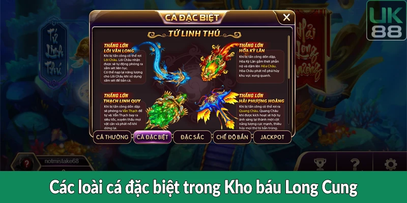 Các loài cá đặc biệt trong Kho báu Long Cung